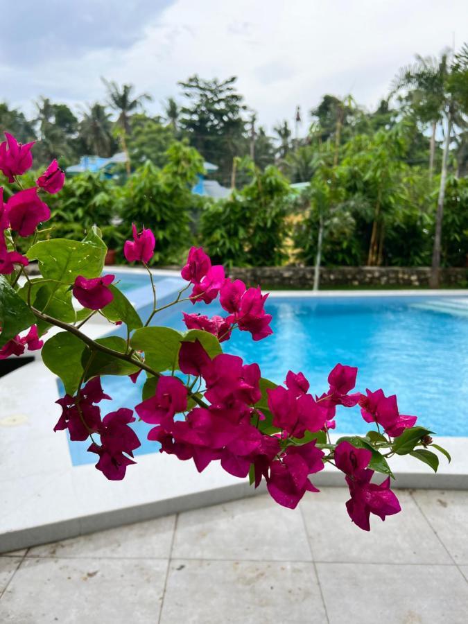 D Arc Leisure Home By The Sea Panglao Dış mekan fotoğraf